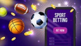 Why does each online sports betting website have different odds?